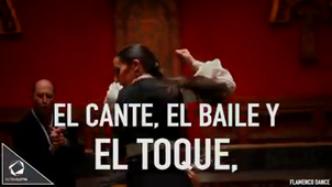 video flamenco cultura colectiva arte.mp4