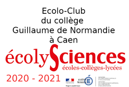 Ecolysciences 2020-2021 Ecolo-Club Guillaume de Normandie
